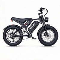 YOULON SY10 1500W For Adults&Teens 20'*4'Fat Tire 31Mph 60Miles Range Off-road Ebike