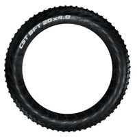 20-inch Ebike tire
