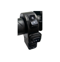 YOULON Ebike Switch