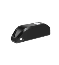 YOULON Y10 Battery 48V20Ah Removable E-Bike Battery