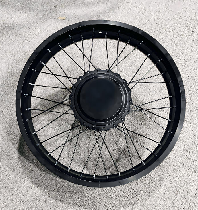 20-Inch Ebike Wheel Hub without Motor/Gears（ Please read the description before purchasing.）